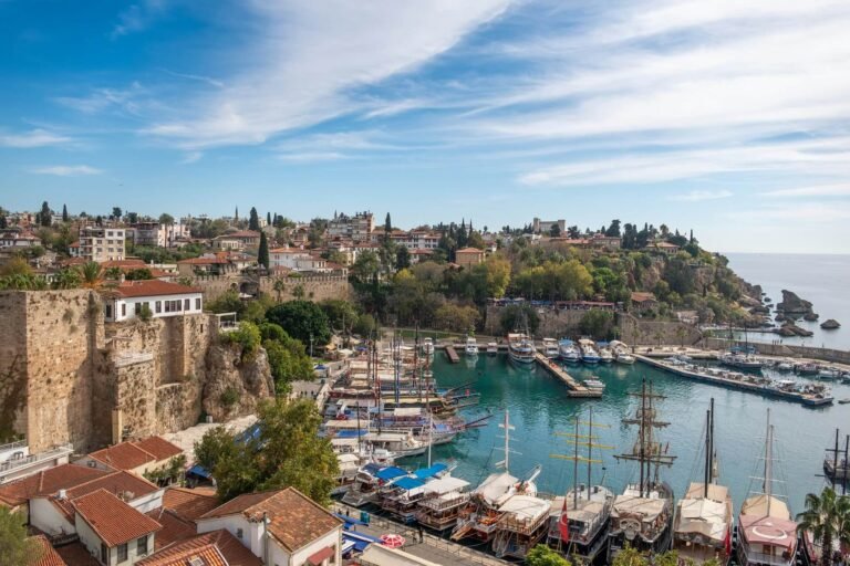 ant rozetsky k6pcgoxd0yw unsplash