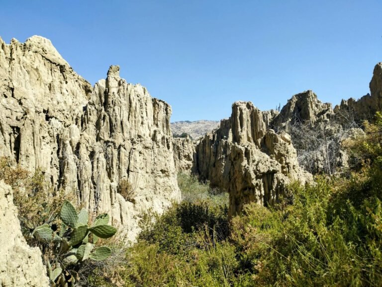 carina blacutt buso6k99yv0 unsplash