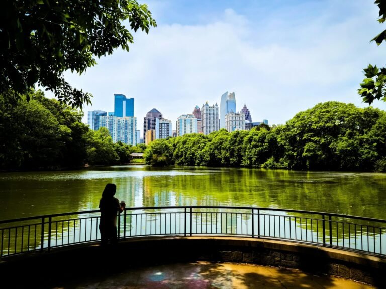 pcrm dorego dxcppdfuf94 unsplash