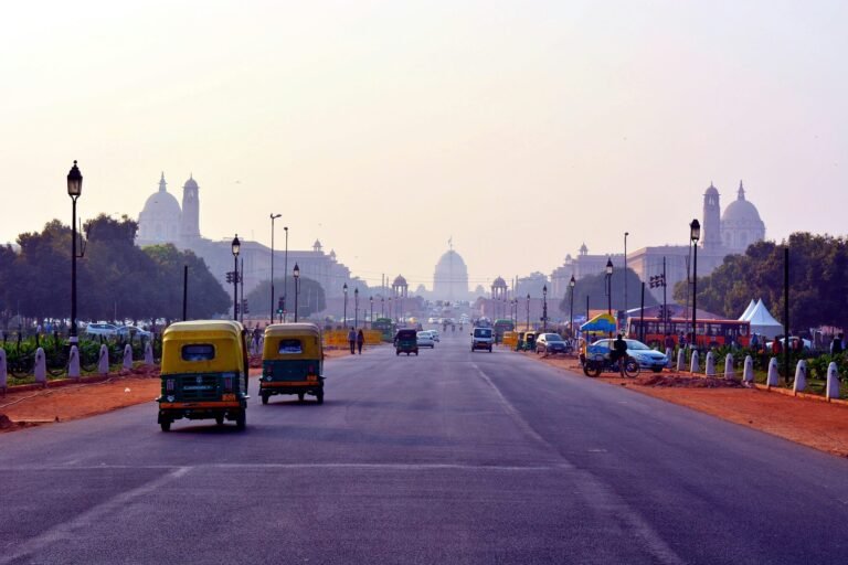 new delhi