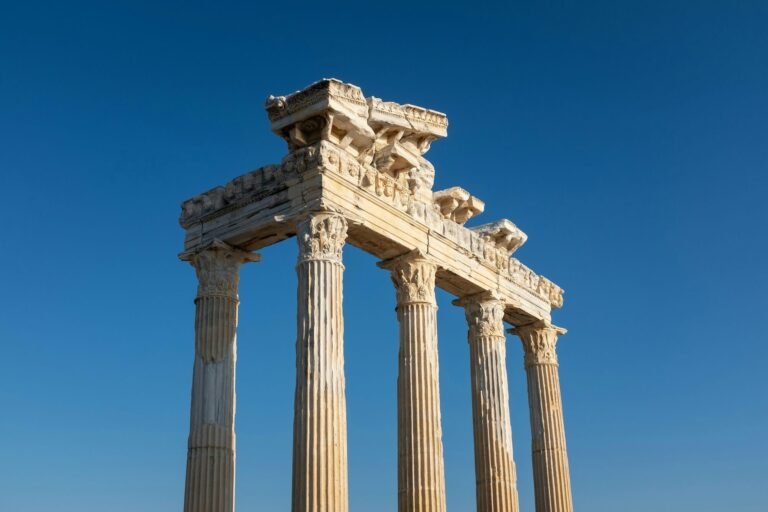 arthur shuraev cwhibwcxt8k unsplash