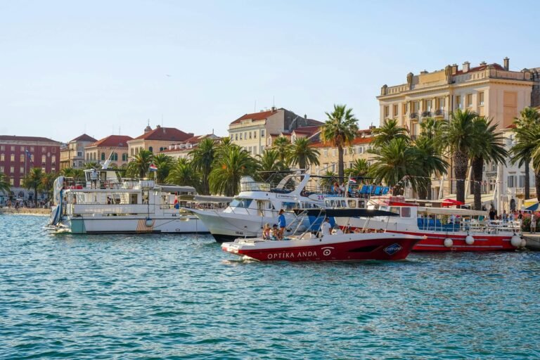 nazrin babashova lchoysdxjoy unsplash